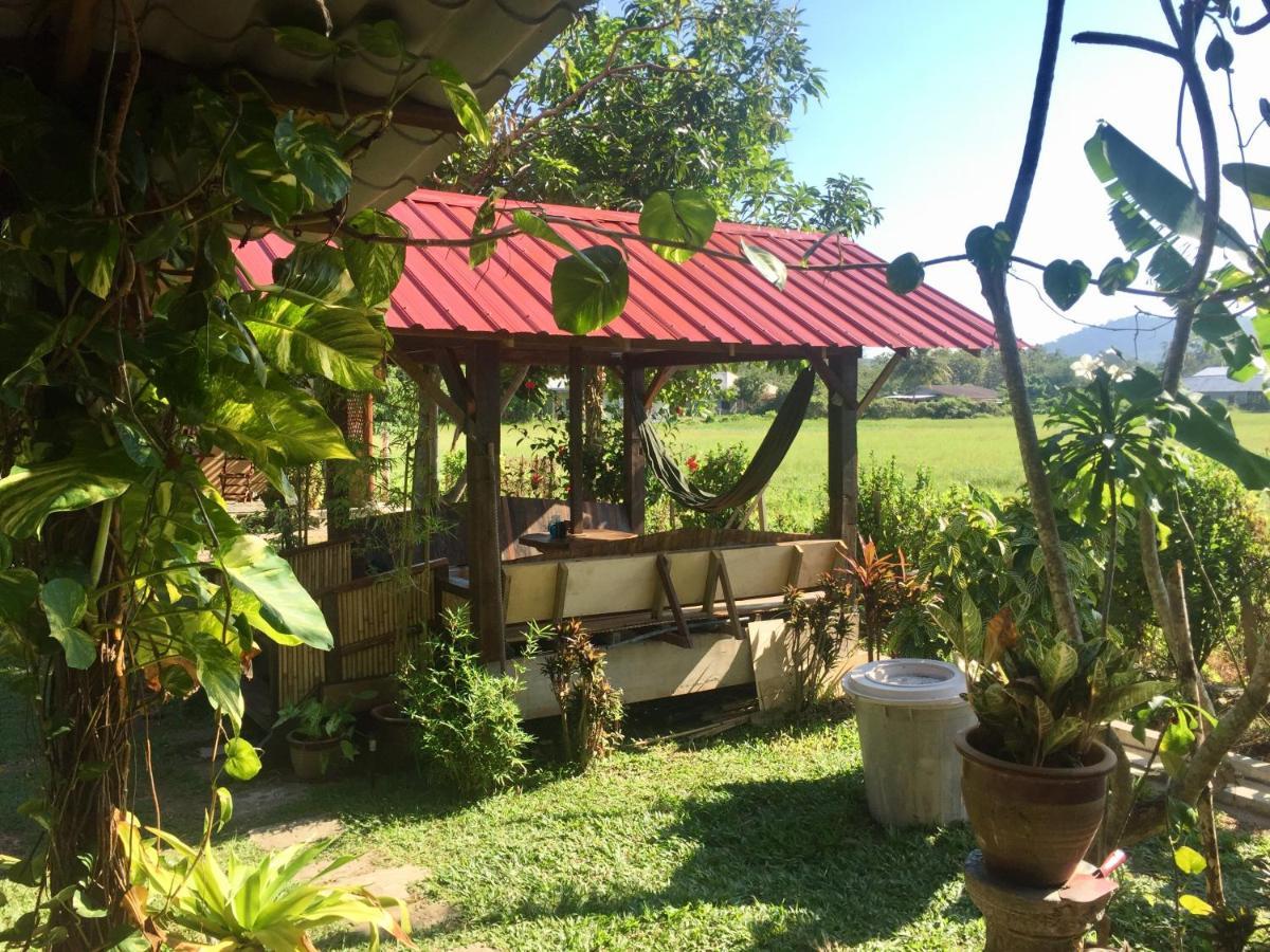Soluna Guest House Pantai Cenang  Bagian luar foto